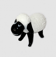 Black/white sheep